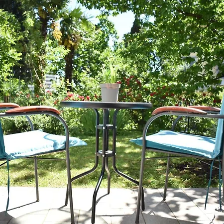 Tasha's Опатия